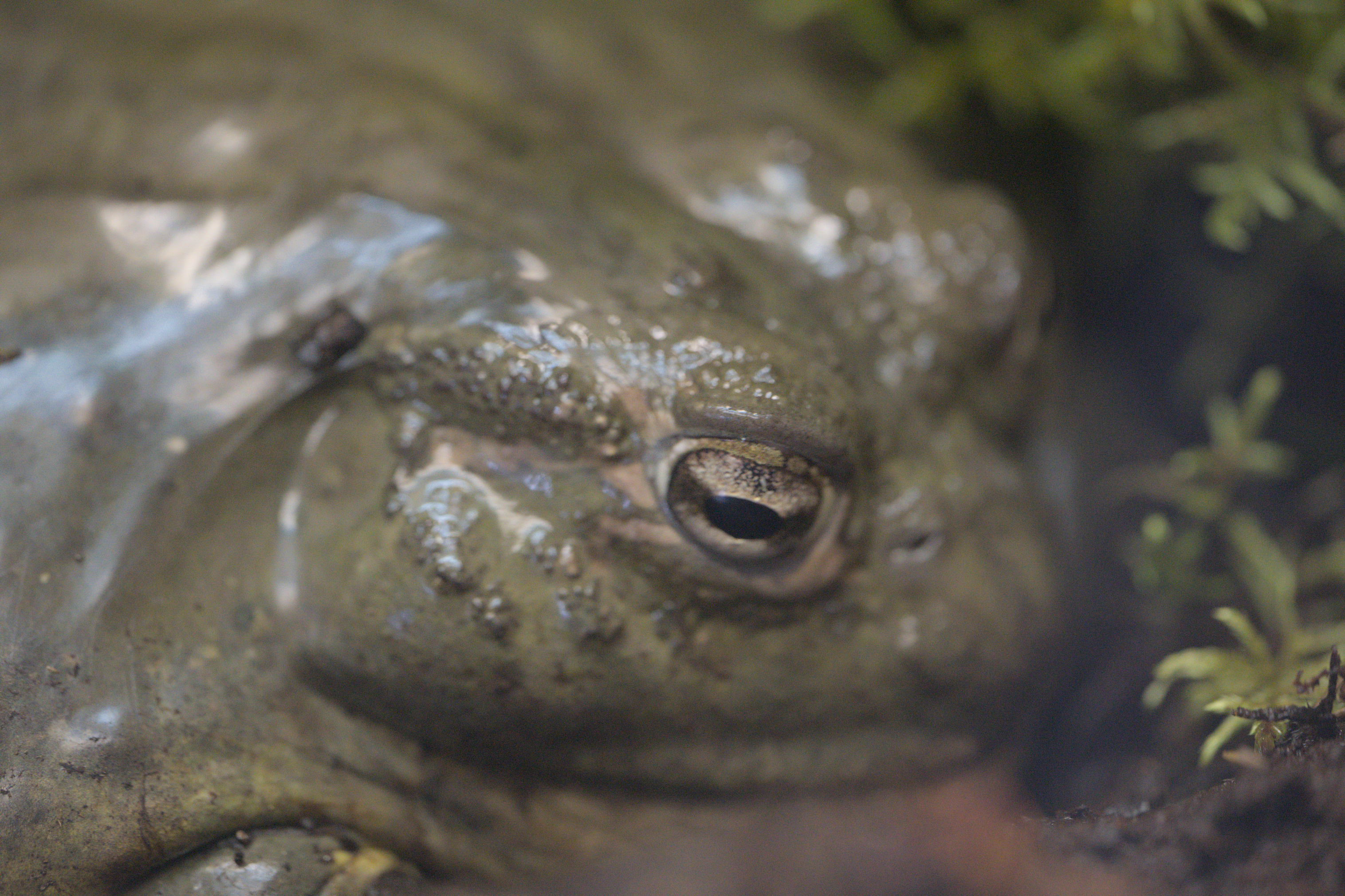 2025/10/12 - zoo/DSC_0179.jpg